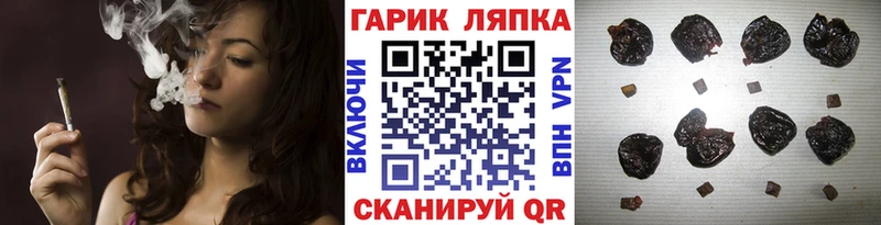 ГАШ Ice-O-Lator  Шебекино 