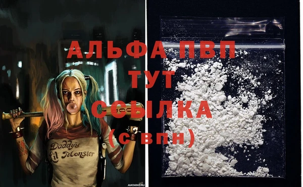 СК Алзамай