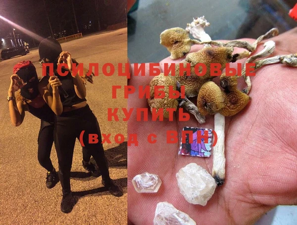 мяу мяу мука Алексеевка