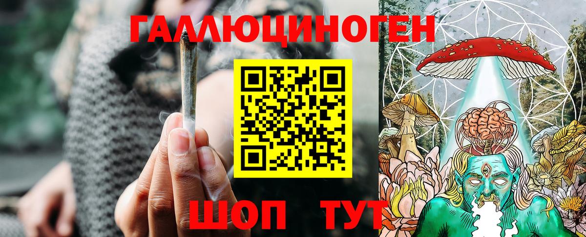 Галлюциногенные грибы Psilocybe Шебекино
