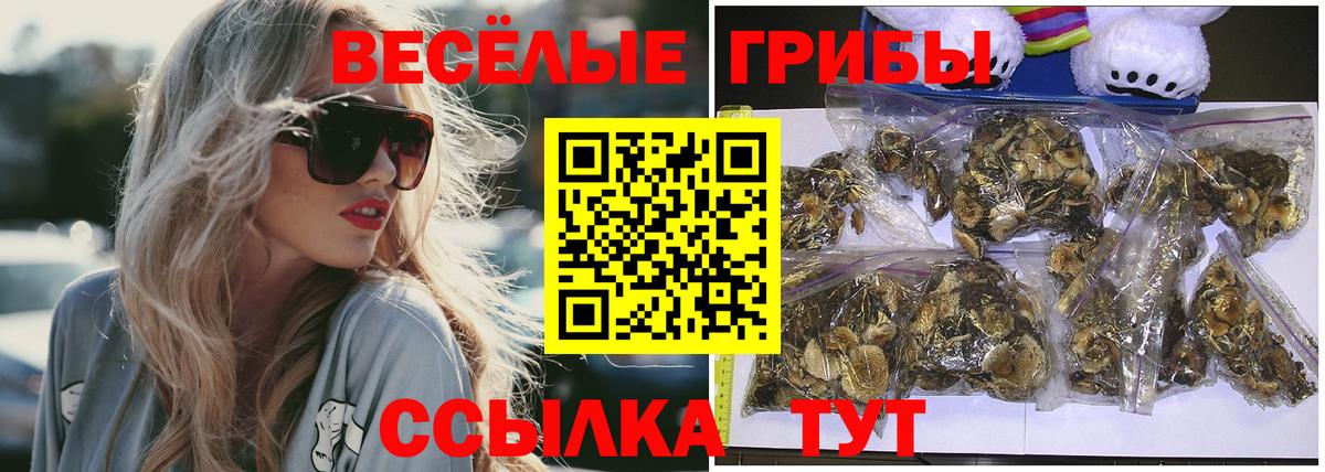 Шебекино  Галлюциногенные грибы Psilocybine cubensis  Вход с VPN 