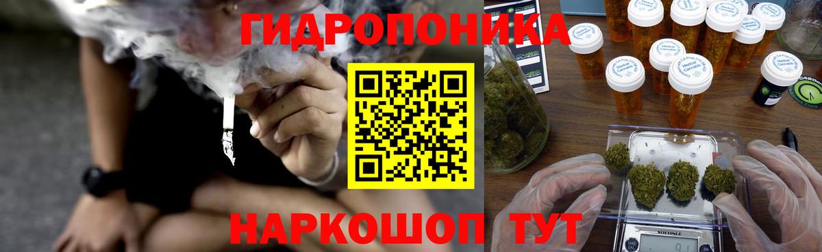 Шишки марихуана семена Шебекино